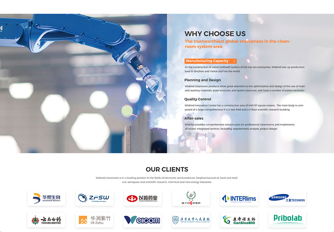 萬事達股份WISKIND外貿網(wǎng)站設計效果圖